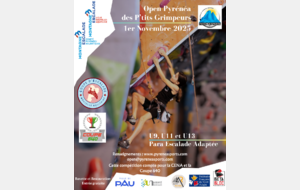 Open Départemental Pyrenea - Escalade